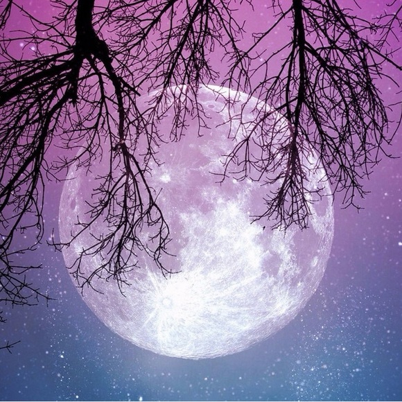 🌸Meet Your Posher🛍️💐 - Picture 13 of 14